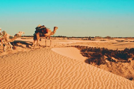 greg-keelen-KZrumAkJWnQ-unsplash