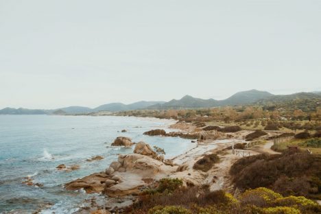 matteo-miliddi-yjrXe2jfqDc-unsplash (1)
