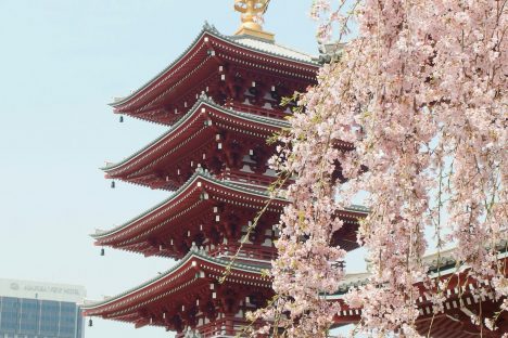 yu-kato-cddaZDt6uRw-unsplash